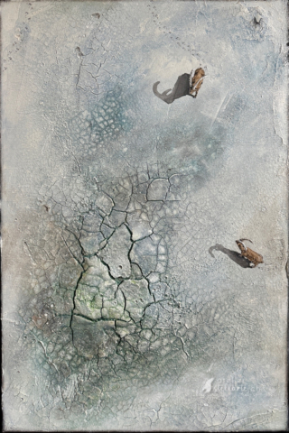 CrappaECorna_3_60x40x2_stellarte_sandrapalaia_2025